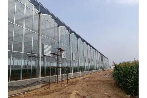 開(kāi)陽(yáng)縣薄膜溫室大棚建設(shè)及大棚薄膜應(yīng)用