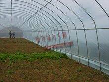 重慶明萬(wàn)蔬菜溫室大棚 薄膜技術(shù)的應(yīng)用與效益分析