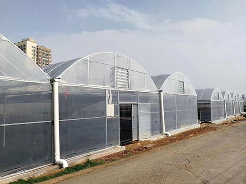 夢洋溫室薄膜 專業訂制，助力花卉溫室高產高效